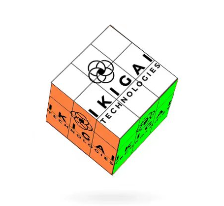 Sunkiss - Wholesale Puzzle - Adult - Custom Designed Swizzle Cube (Medium)1