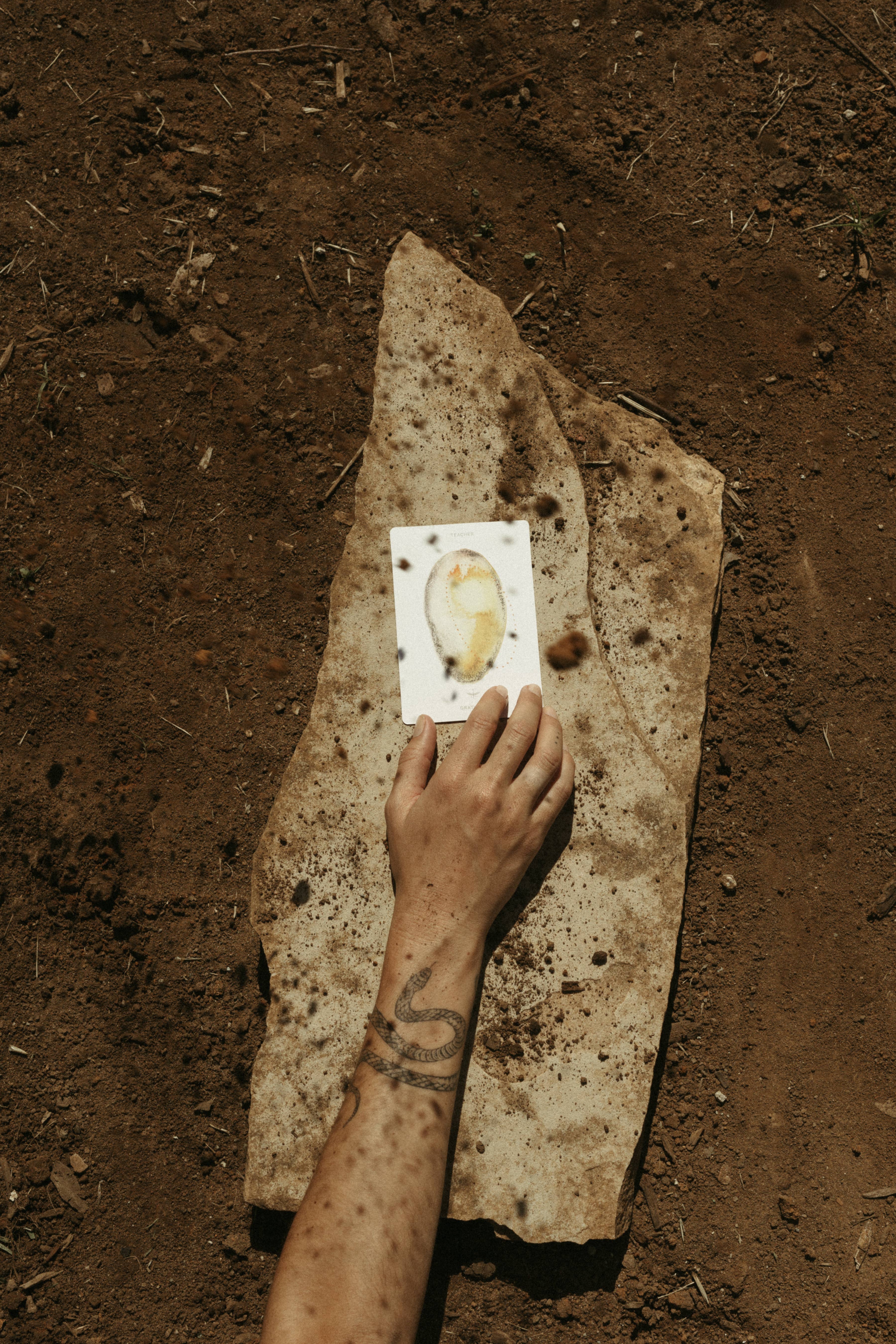 Depths Tarot – Cartas de tarô por atacado – The Deck - Edição 13