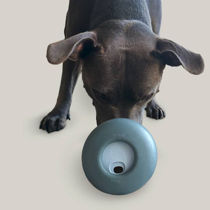 Lunoji – wholesale Pet toy – Dog – Pebble: All-in-One Dog Toy | Slow Feeder + Treat Dispenser