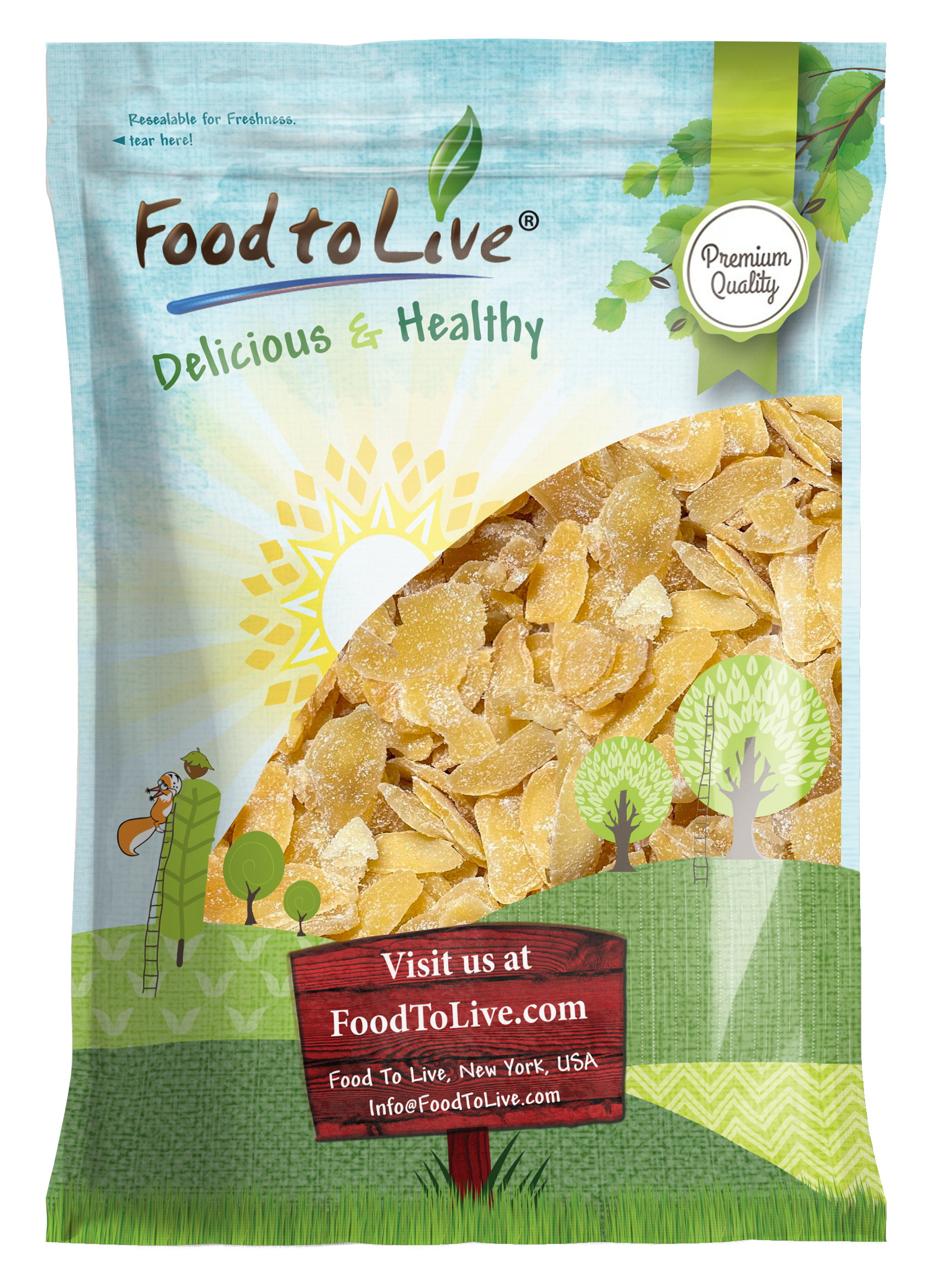 Food To Live - Wholesale Dried/Dehydrated Fruit - Dried Crystalized Ginger Slices – Vegan, Kosher, Bulk – by Food to Live7