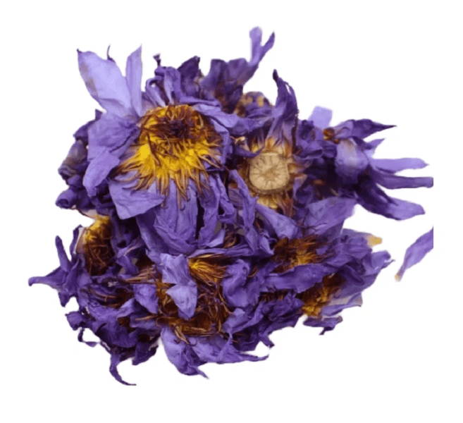 Ancient Purity – Großhandel Loser Tee – Blaue Lotusblume - 20g | Sri Lanka | Ganze Blüten | Tee2