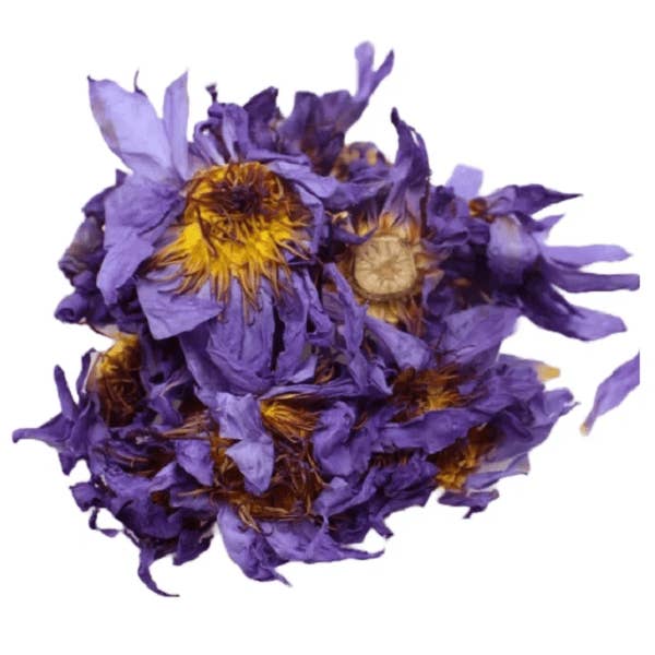 Ancient Purity - Vente Thé en vrac - Fleur de Lotus Bleu - 20g | Sri Lanka | Fleurs Entières | Thé2