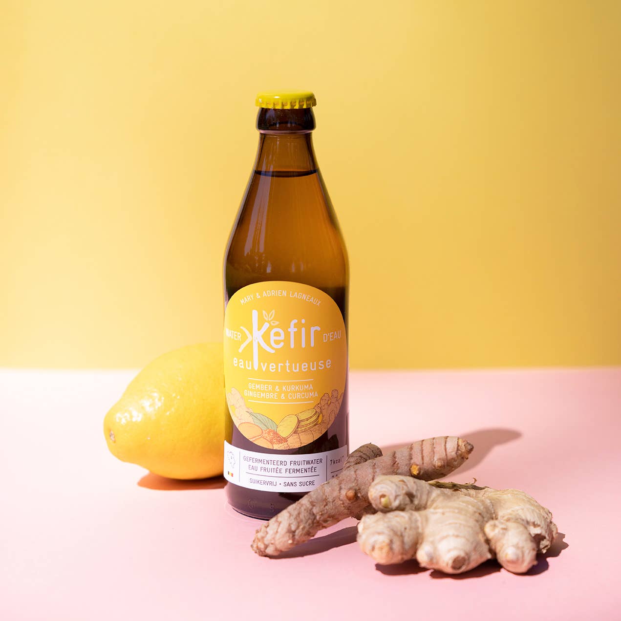 Kéfir Eau Vertueuse - Wholesale Kombucha - Kefir Virtuous Water Ginger/Turmeric - BIO-VIVANT1