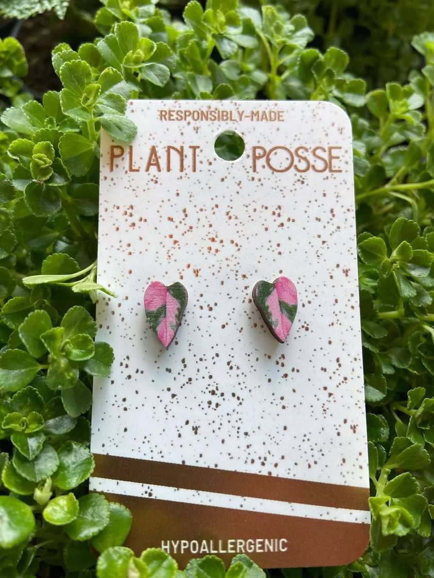 Plant Posse – Brincos de pino por atacado – Brincos rosa princesa2
