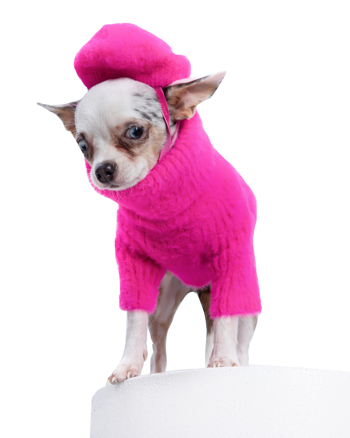Pink Loves It Dog Sweater & Hat for wholesale on Faire2