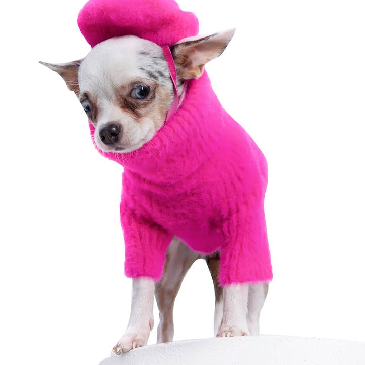 Pink Loves It Dog Sweater & Hat for wholesale on Faire2