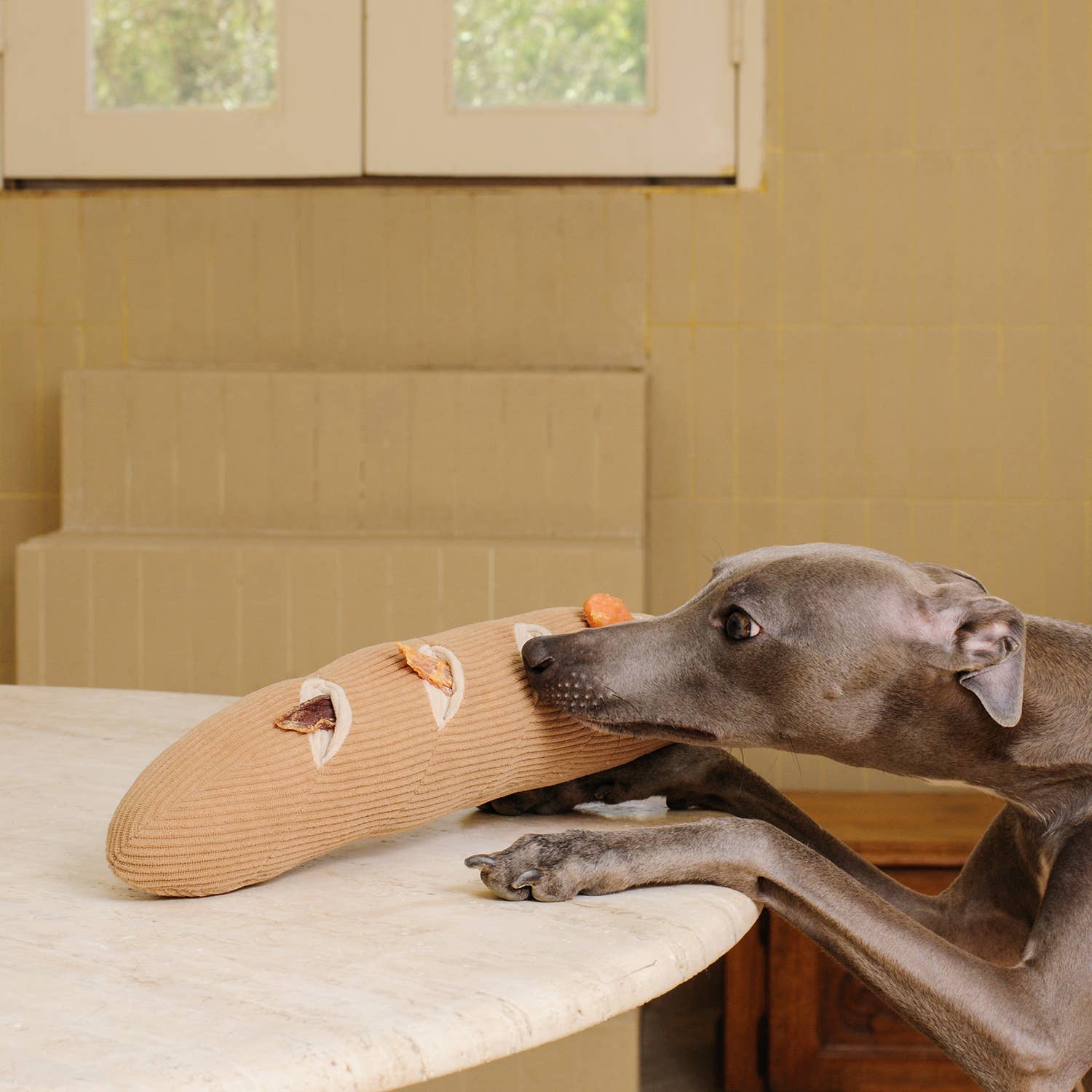 CHEWFFON - Wholesale Pet Plush Toy - Dog - CHEWFFON Interactive Enrichment Baguette Dog Toy 5