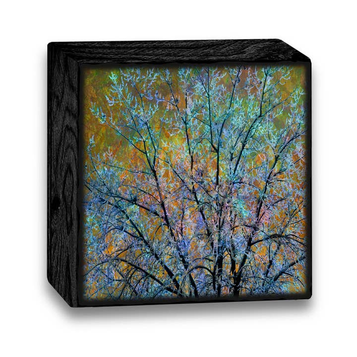 Bloques de arte-ME22AB para venta al por mayor de Illustrated Light & DC Designs