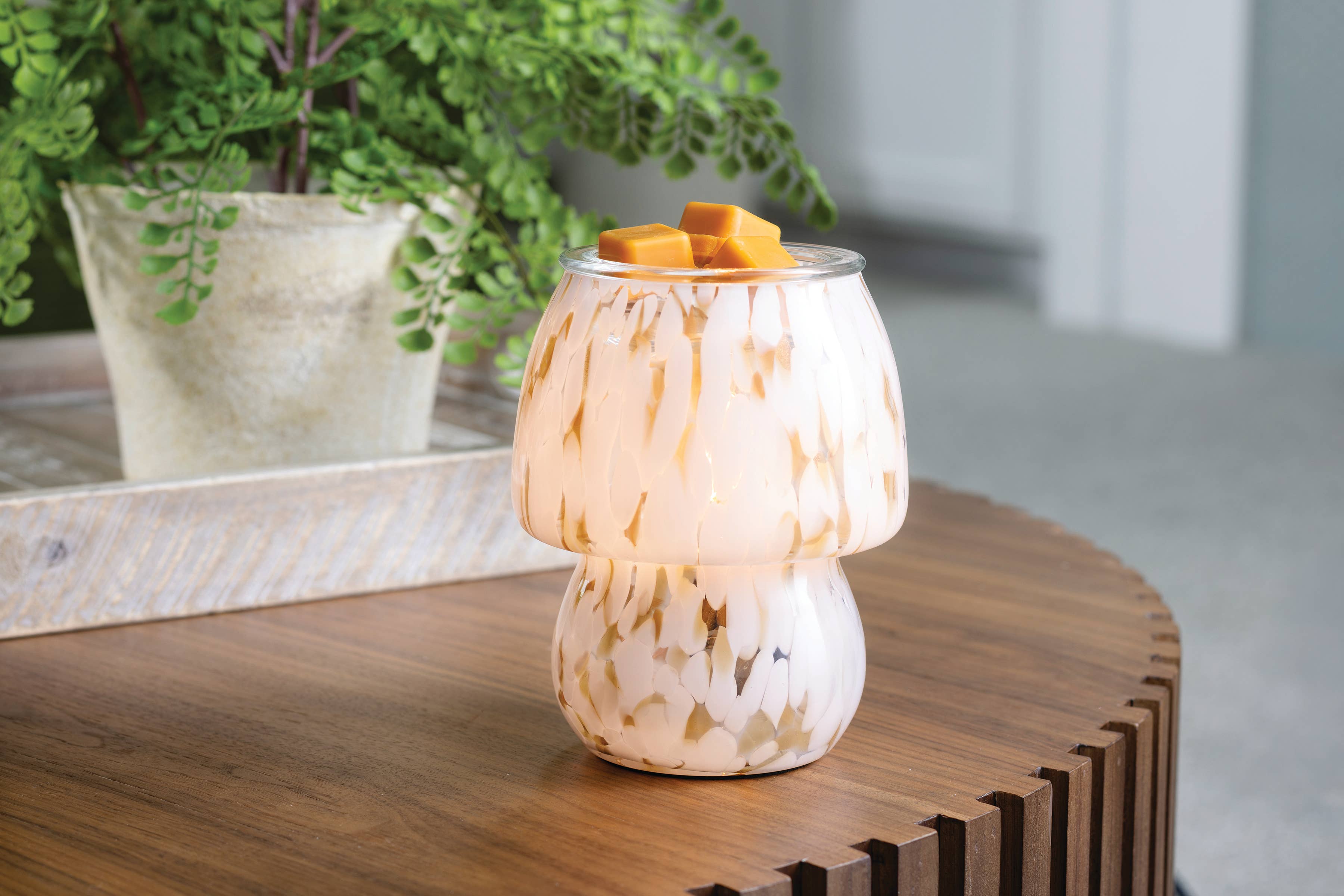 Candle Warmers Etc. - Wholesale Fragrance Warmer - Art Glass Lamp Vintage Bulb Illumination Fragrance Warmer2