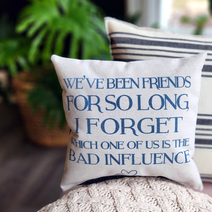 wit & wisdom tiny pillow- Old Friends for wholesale by Desmond Brown