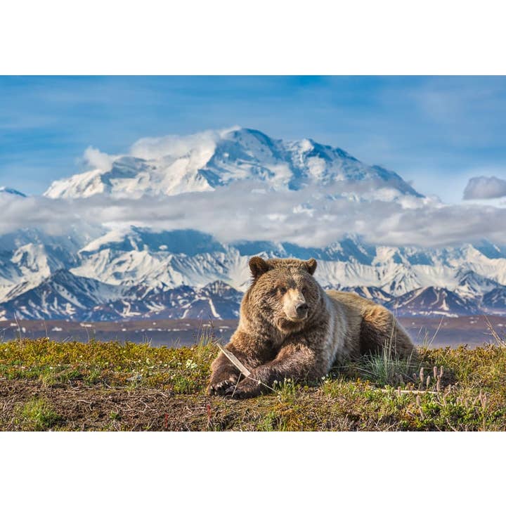 Denali Grizzly for wholesale by Greatland Graphics