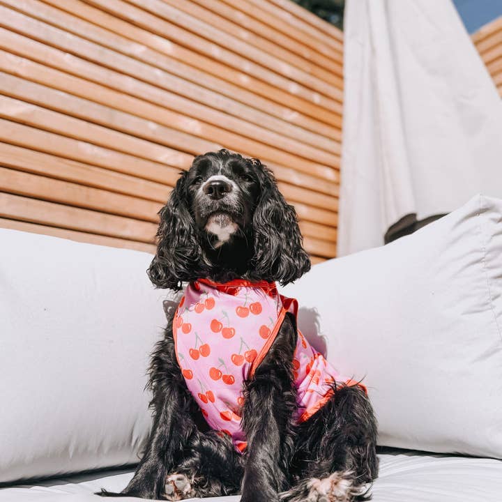 The Paw Print Boutique - Wholesale Pet Vest - Dog - The Cherry on Top Cooling Vest4