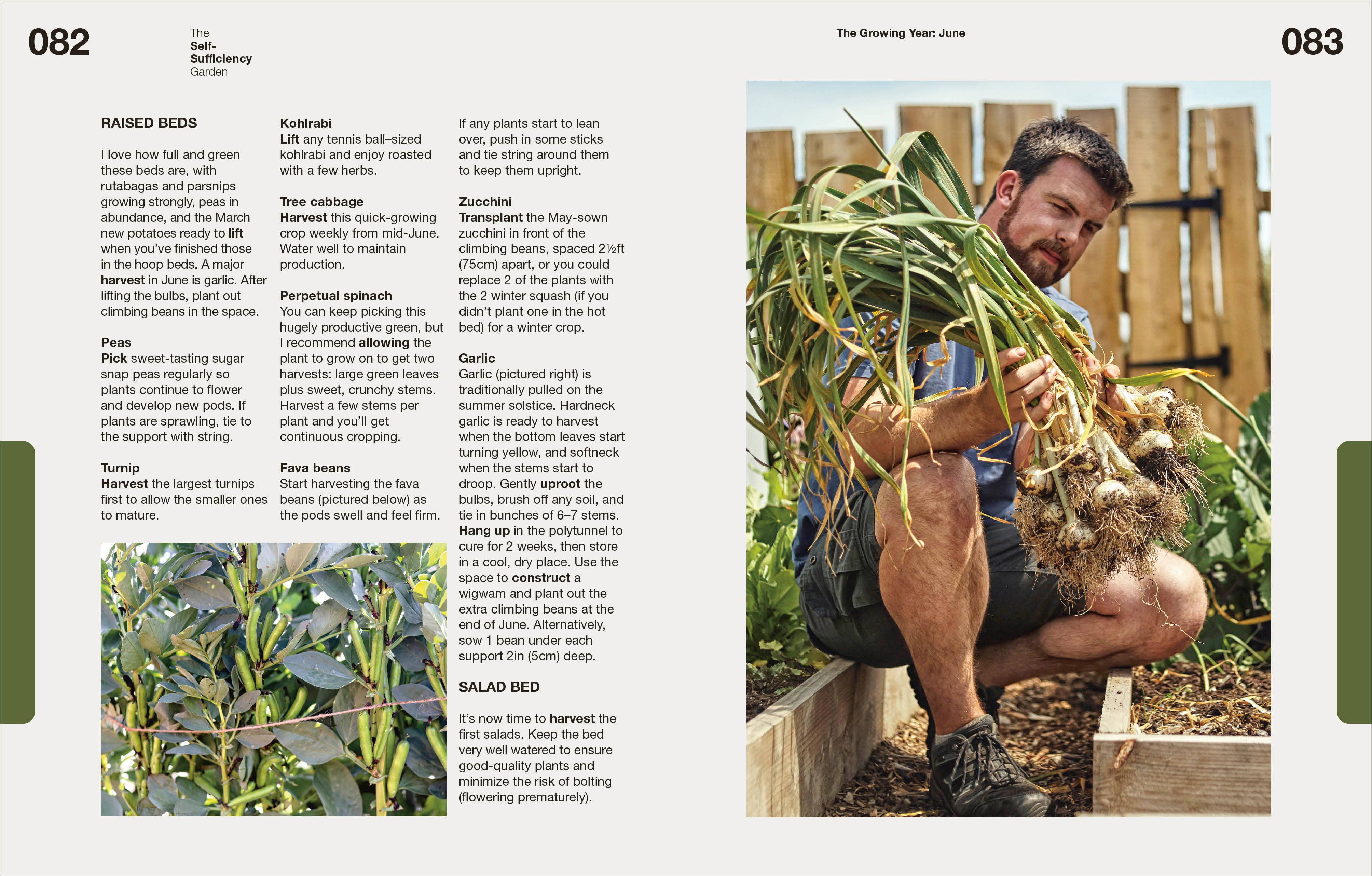 Penguin Random House LLC - Wholesale Home & Garden - The Self-Sufficiency Garden5