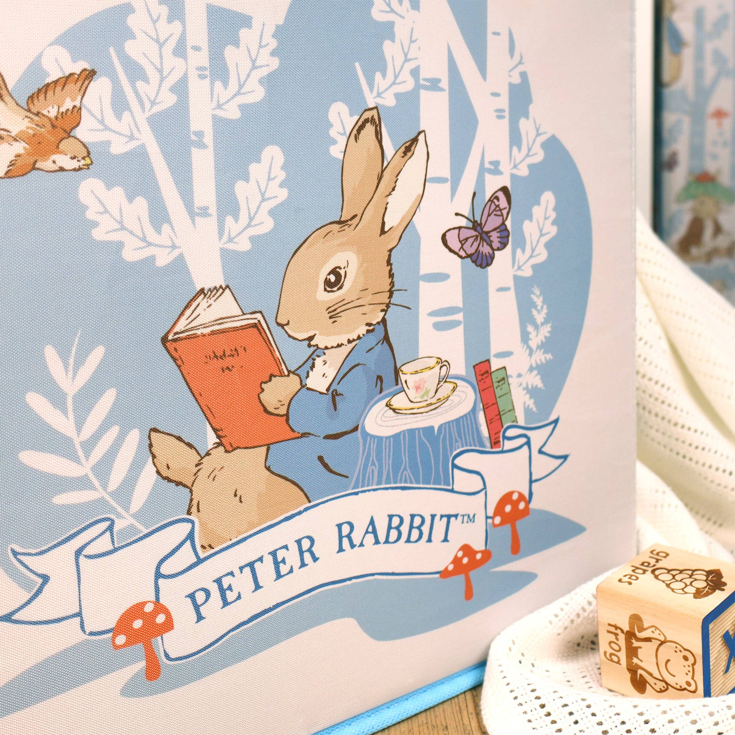 Robert Frederick Ltd – Engroshandel Opbevaringskurv – Peter Rabbit Stofodopbevaringsterninger - Pakke med to5