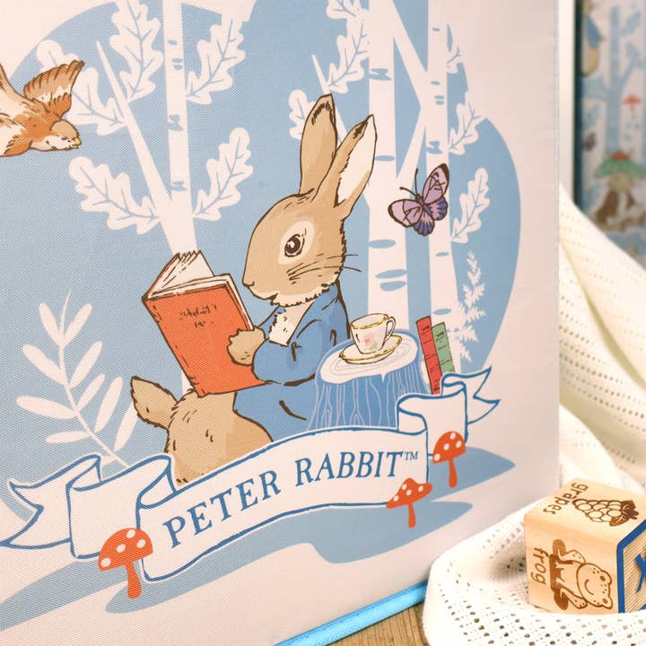 Robert Frederick Ltd – Engroshandel Opbevaringskurv – Peter Rabbit Stofodopbevaringsterninger - Pakke med to5