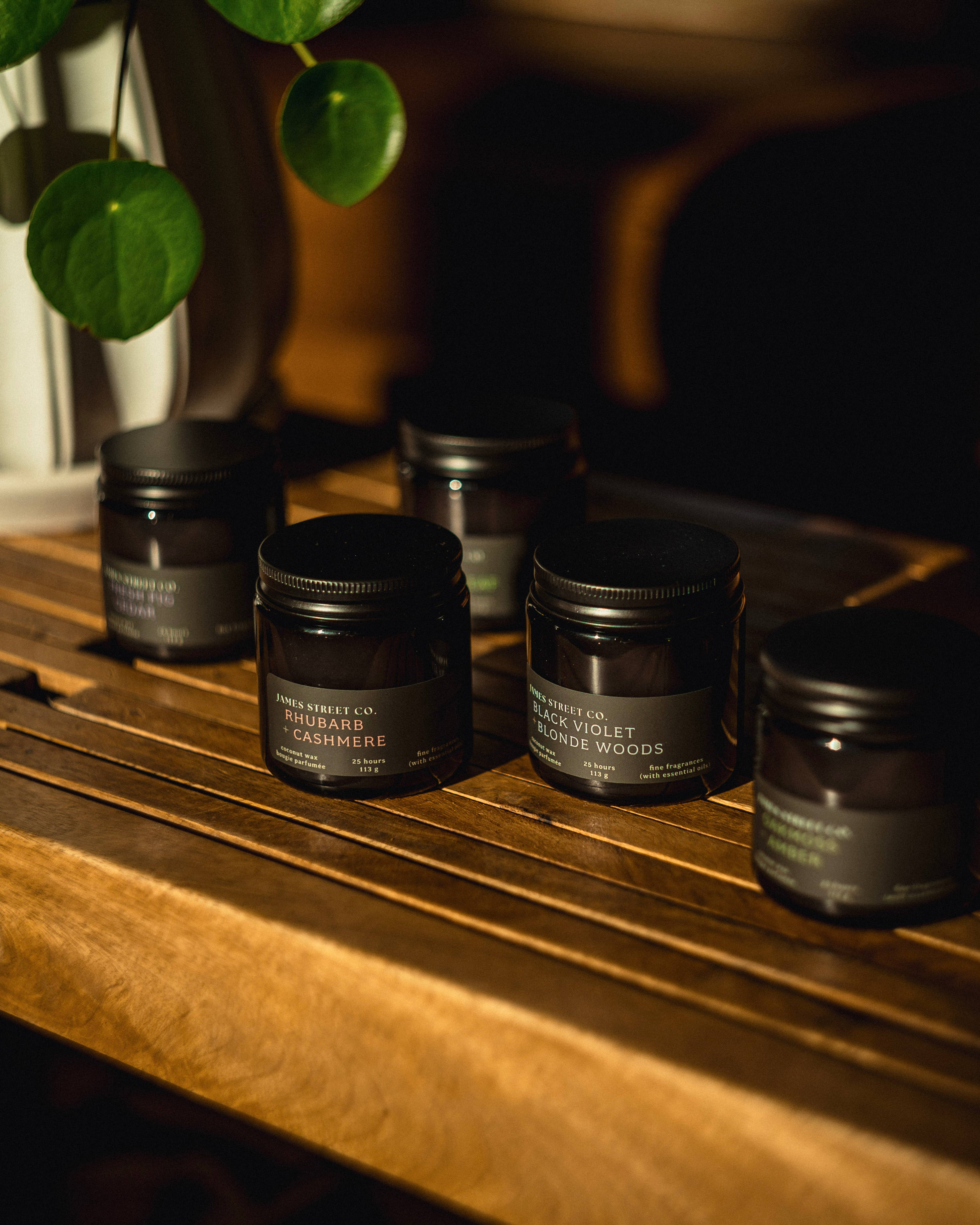 James Street Co. - Wholesale Jar/Filled Candle - Rhubarb + Cashmere - Coconut Wax 4oz or 8oz Candle | Fresh Fruit Creamy1