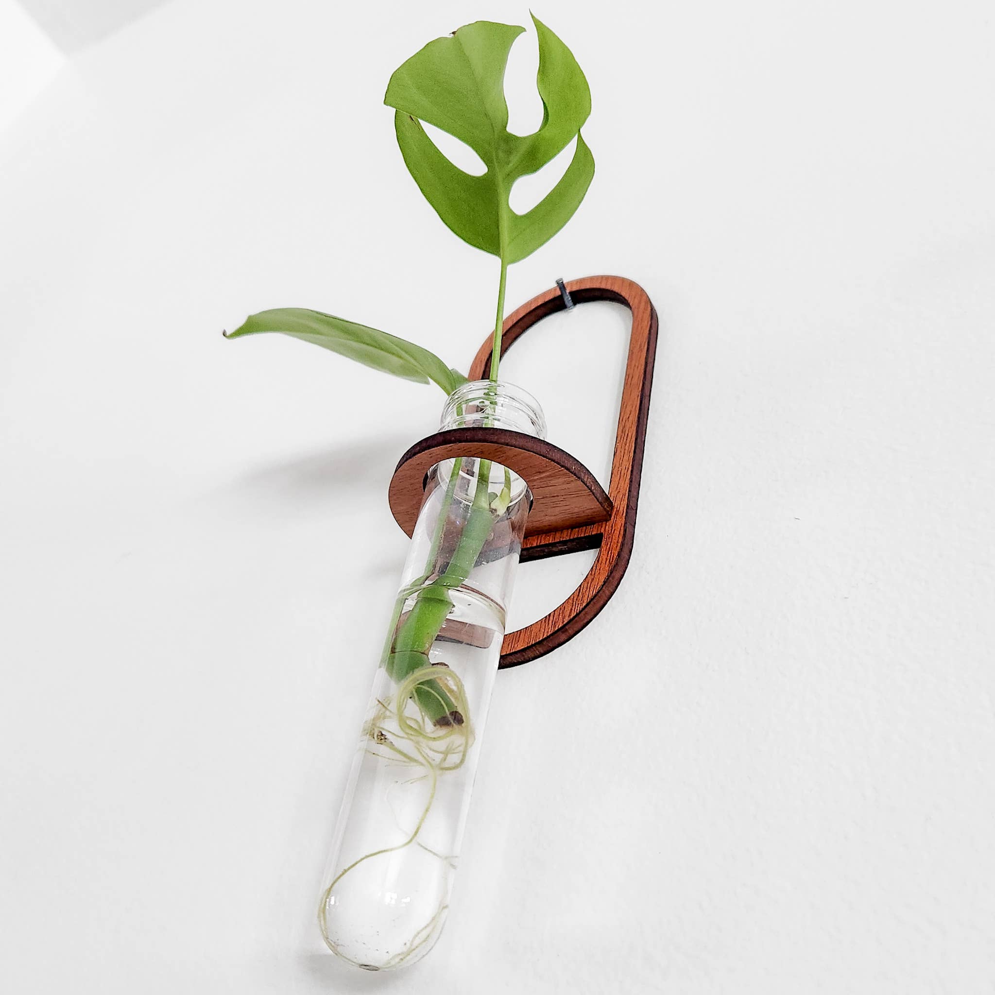 Leaf & Node - Wholesale Hanging Planter - Wall Hanging Propagation Station - Oval Test Tube Holder1