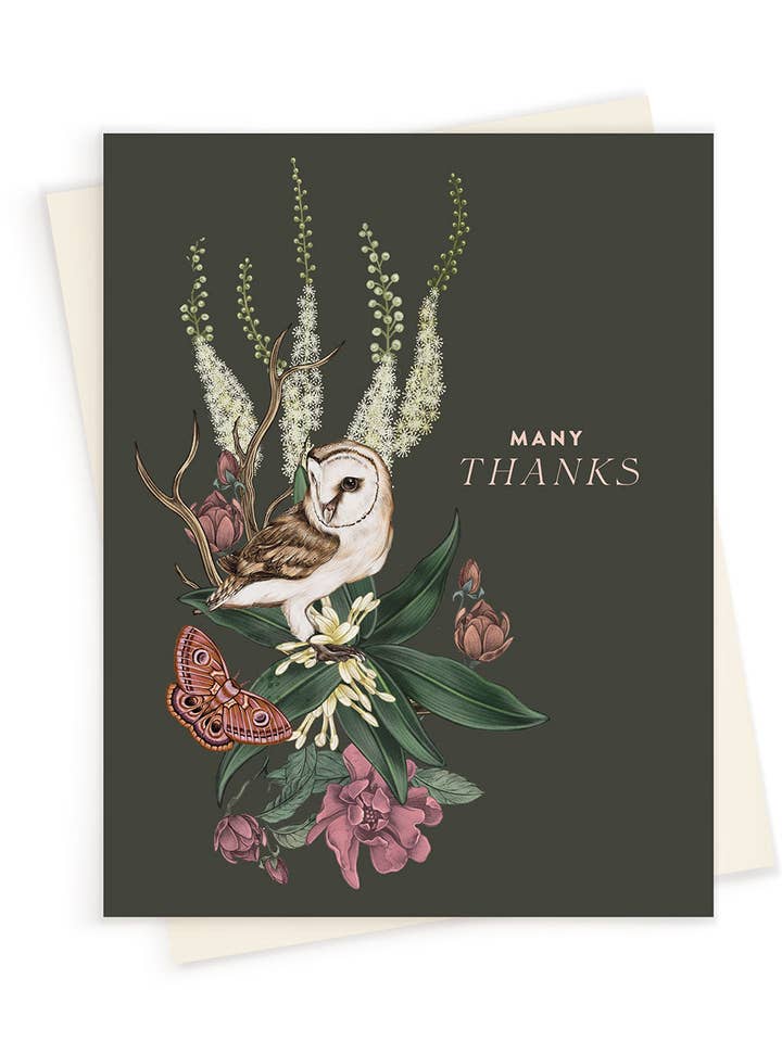 Grazie | Molte Grazie Gufo | Biglietto di Auguri per la vendita all'ingrosso da parte di LINNA