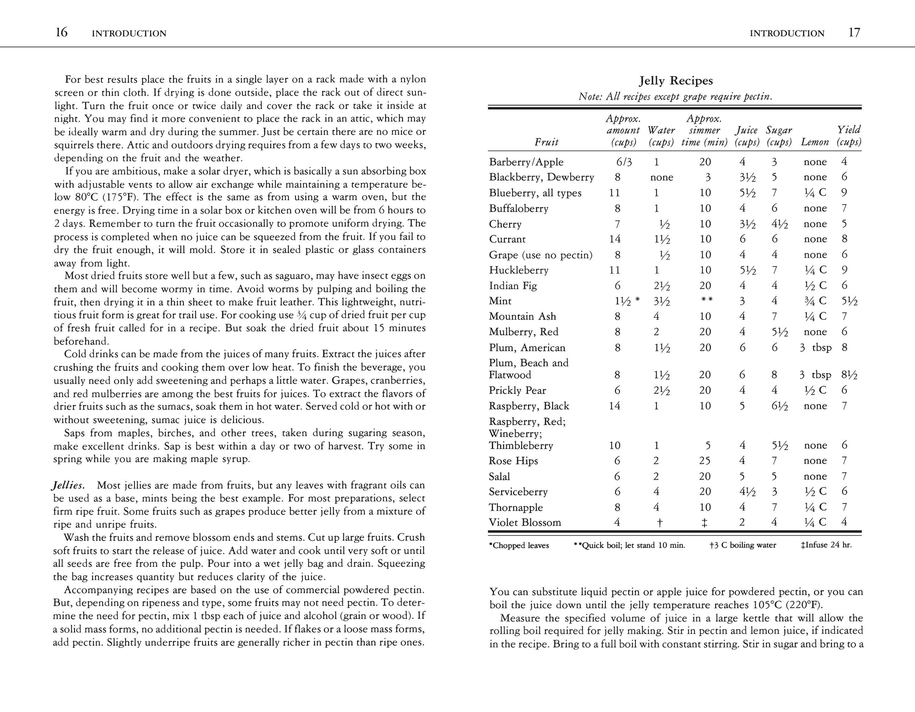 Hachette Book Group - Wholesale Nature & Outdoors - Edible Wild Plants: A North American Field Guide7