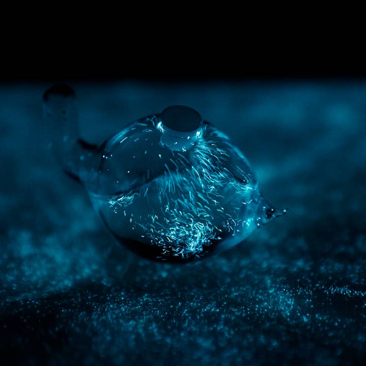 PyroFarms - Wholesale Decorative Tabletop Object - Bioluminescent Bio-Turtle - Gift Option