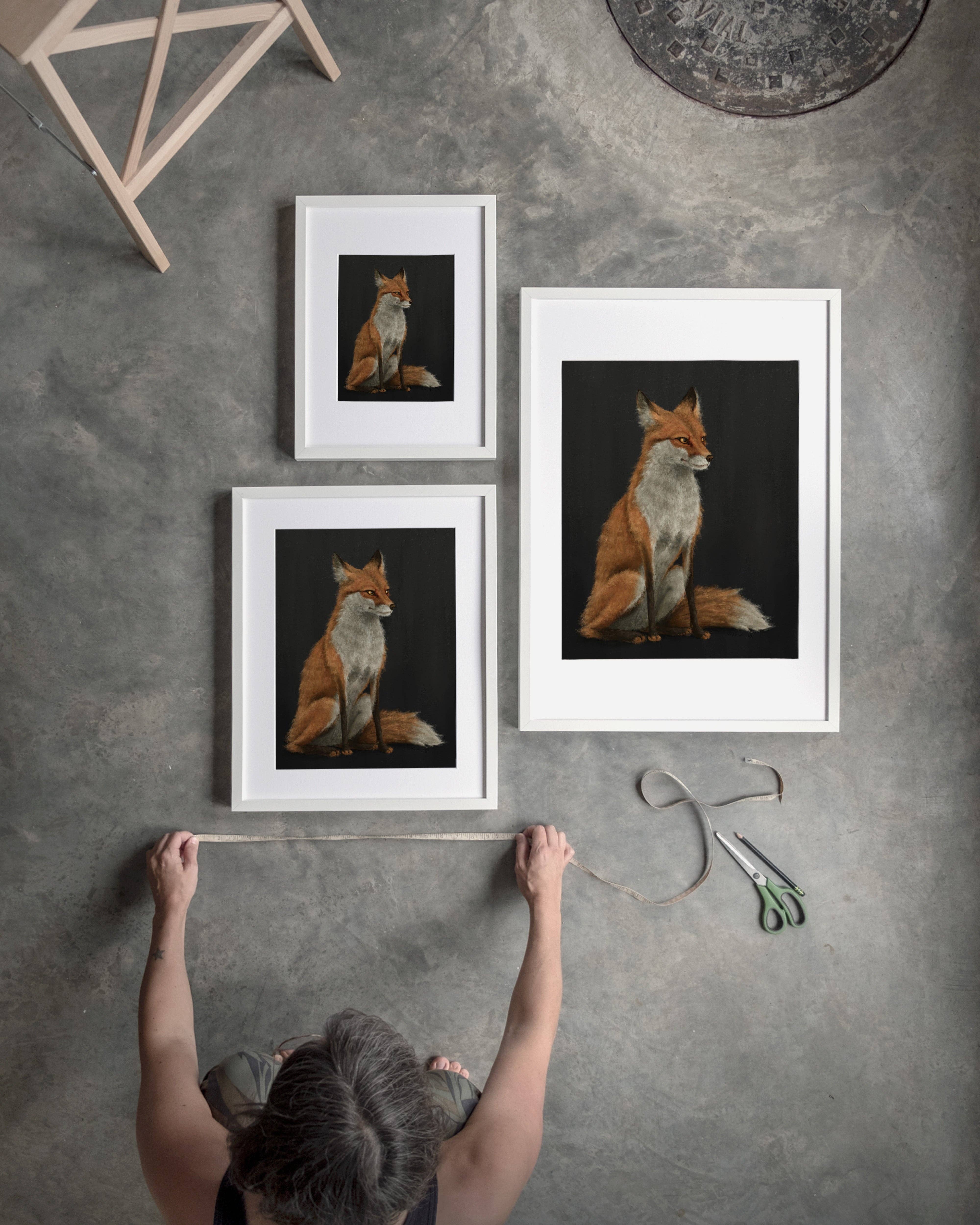 The Ugly Cat Studio - Wholesale Art Print - Red Fox Fine Art Print - Black Edition27