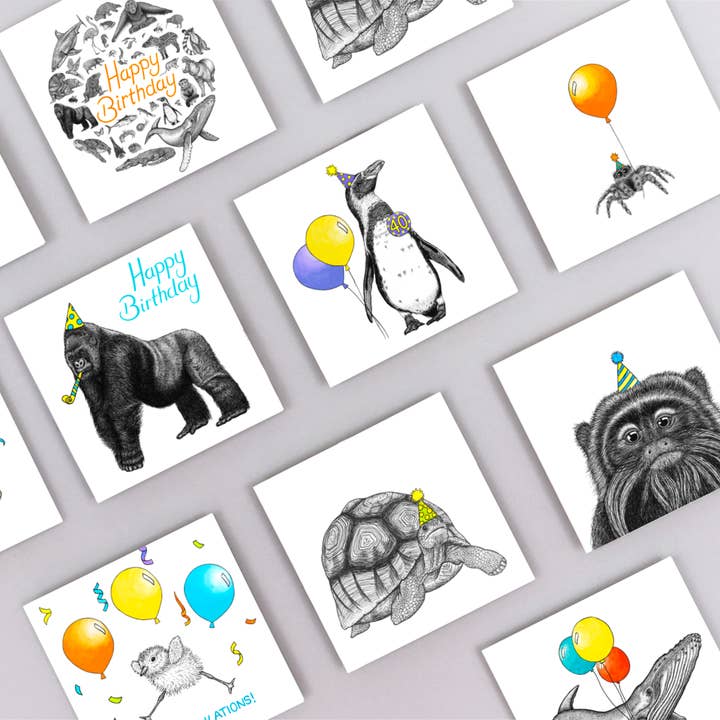 Wild Lines - Wholesale Birthday card - Animal Birthday Card - Party Tortoise // Eco-friendly Cards // Wildlife Art Cards2