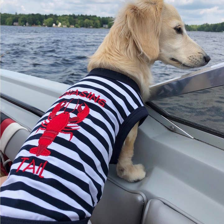 Parisian Pet® - Wholesale Pet Shirt - Dog - Lobster Chasing Tail Dog T-Shirt – Funny Shirt for Pets