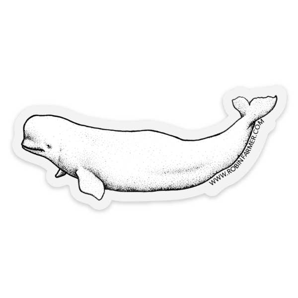Beluga Sticker for wholesale by Robin Farmer Art
