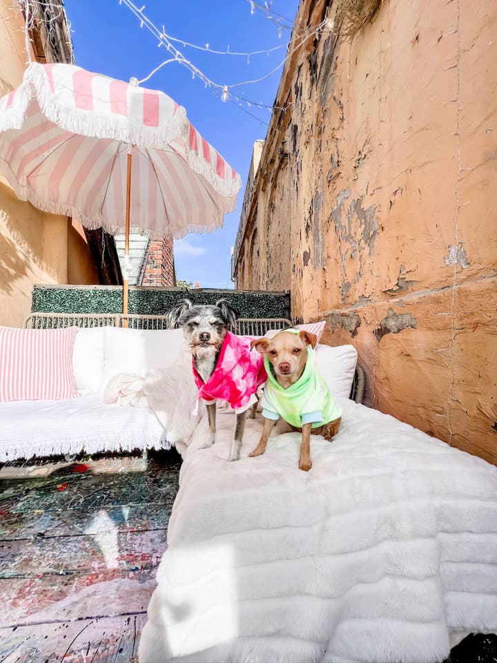 NEON Tie Dye Hoodie Dog Pet Sweater for wholesale by Shanna's Tie Dye