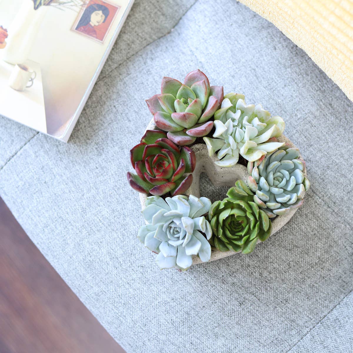 Best Plant Friend - Wholesale Succulent - Succulent Heart Arrangement - Succulent Gift Decor Ideas2
