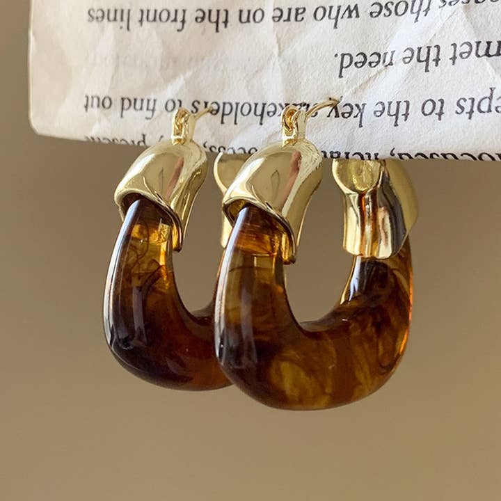 RETRO BROWN LIGHT LUXURY EARRINGS_CWASC1339 for wholesale by ACCITY