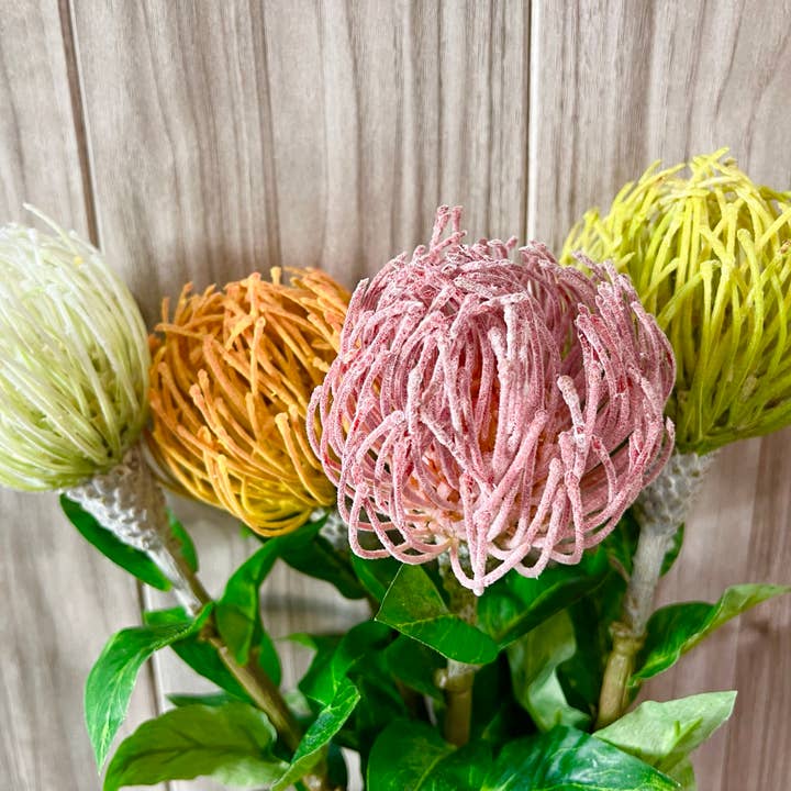 Angel Isabella - Wholesale Artificial Flowers - 29"Large Artificial Saffron Pincushion Needle Protea3