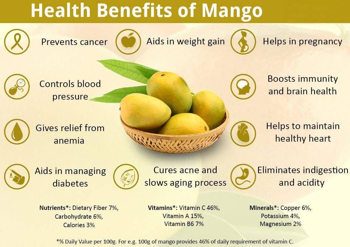 NuEats - Wholesale Dried/Dehydrated Fruit - Amphora, Organic Soft Dried Fruit, MANGOES, 6/3oz(U)2