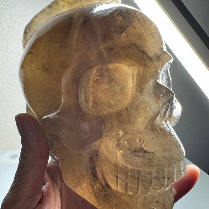 The 7 Directions - Wholesale Spiritual Stone/Crystal - 3.9 lb Unique Smoky skull w/ snake carving H3610