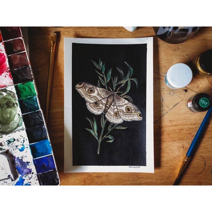 The Emperor Moth | Art Print for wholesale by Raicodoll