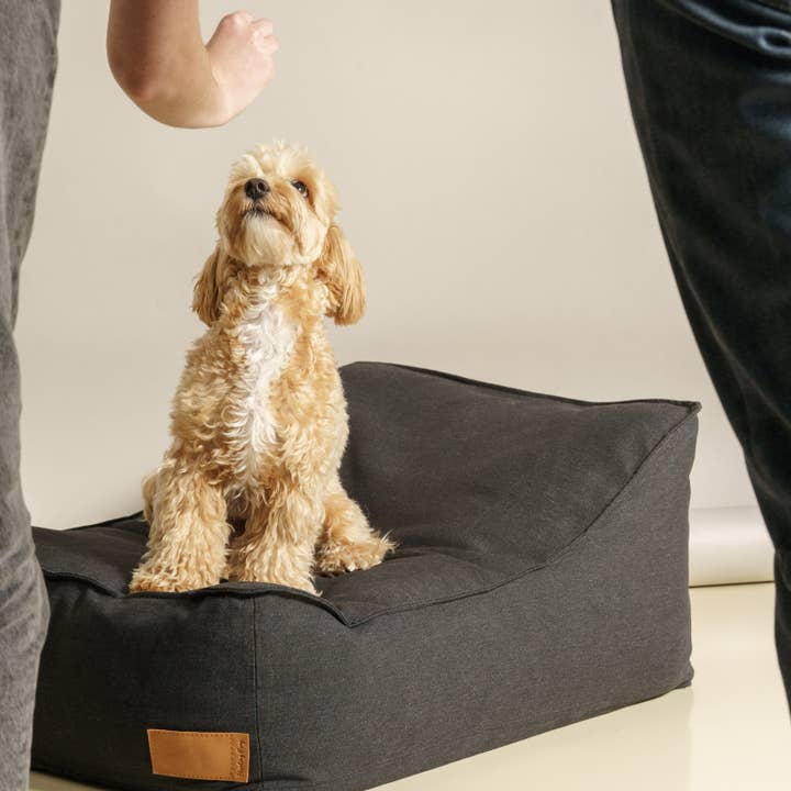 Dog bed Pony trampliny black for wholesale by Hunting Pony