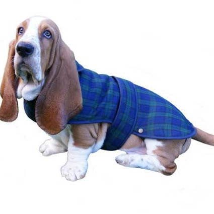 Traditional Deluxe Dog Coat In Black Watch for wholesale by The Scotland Kilt Company