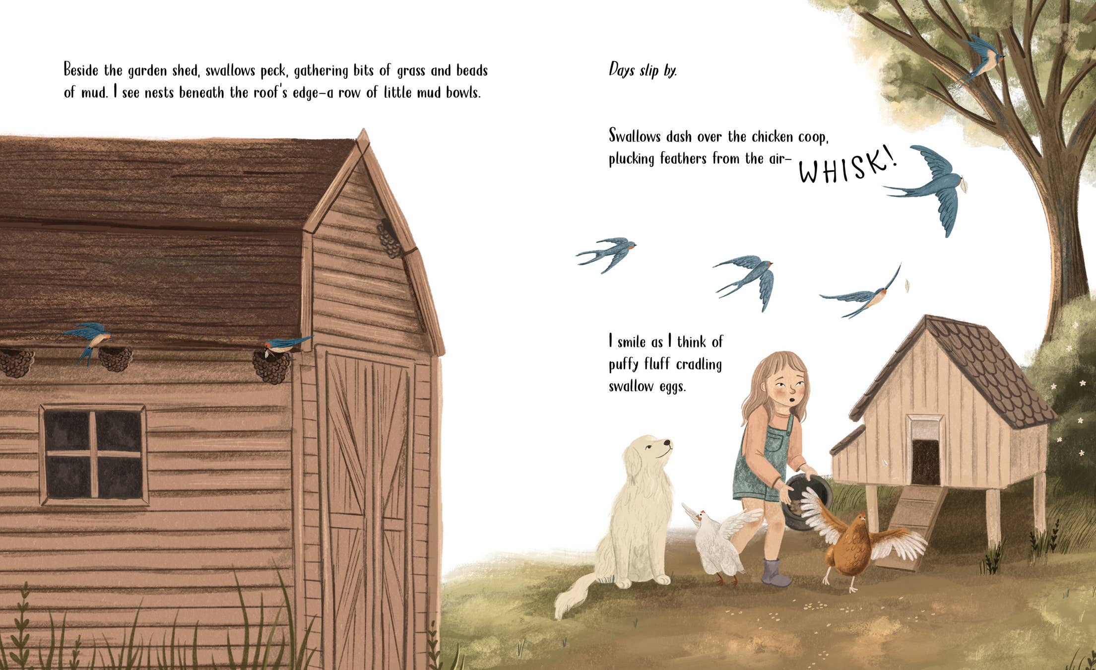 Sleeping Bear Press - Vente Livre – enfant - Livre d'images des hirondelles tourbillonnantes2