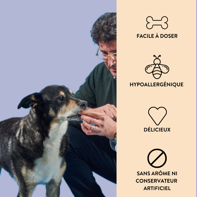 Hello Jack - Wholesale Pet Supplement - Dog - PROTECT - Powder supplement for animal immunity3