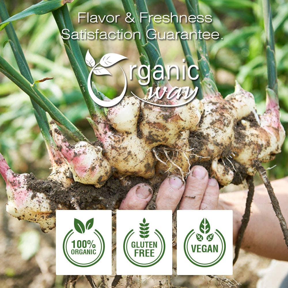 Organic Way LLC - Venta al por mayor Especias secas - Polvo de raíz de jengibre (Zingiber officinale Roscoe) para té herbal - Certificado Kosher y USDA | No transgénico y sin gluten | Analizado cuidadosamente | Bolsa resellable | 100 % crudo de India10