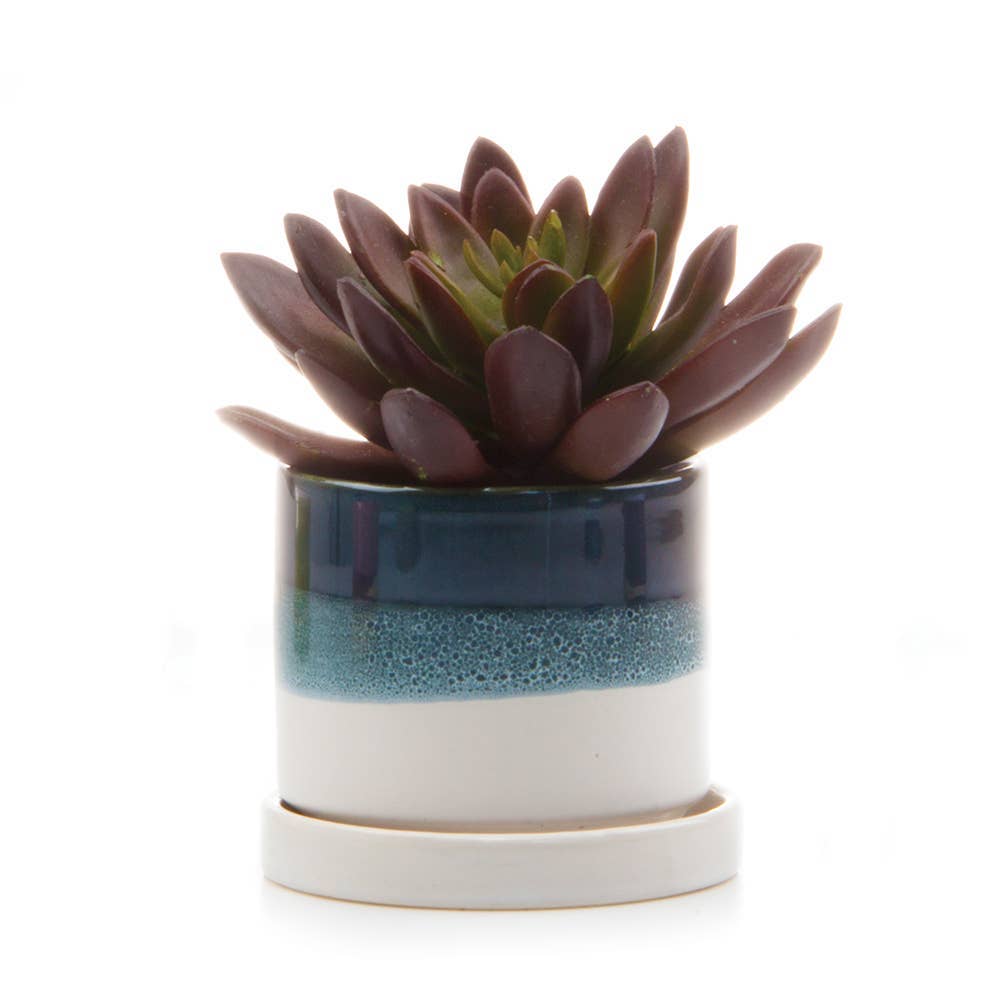 Chive UK - Wholesale Plant Pot - Minute - Glazed Modern Ceramic Pot with Saucer18