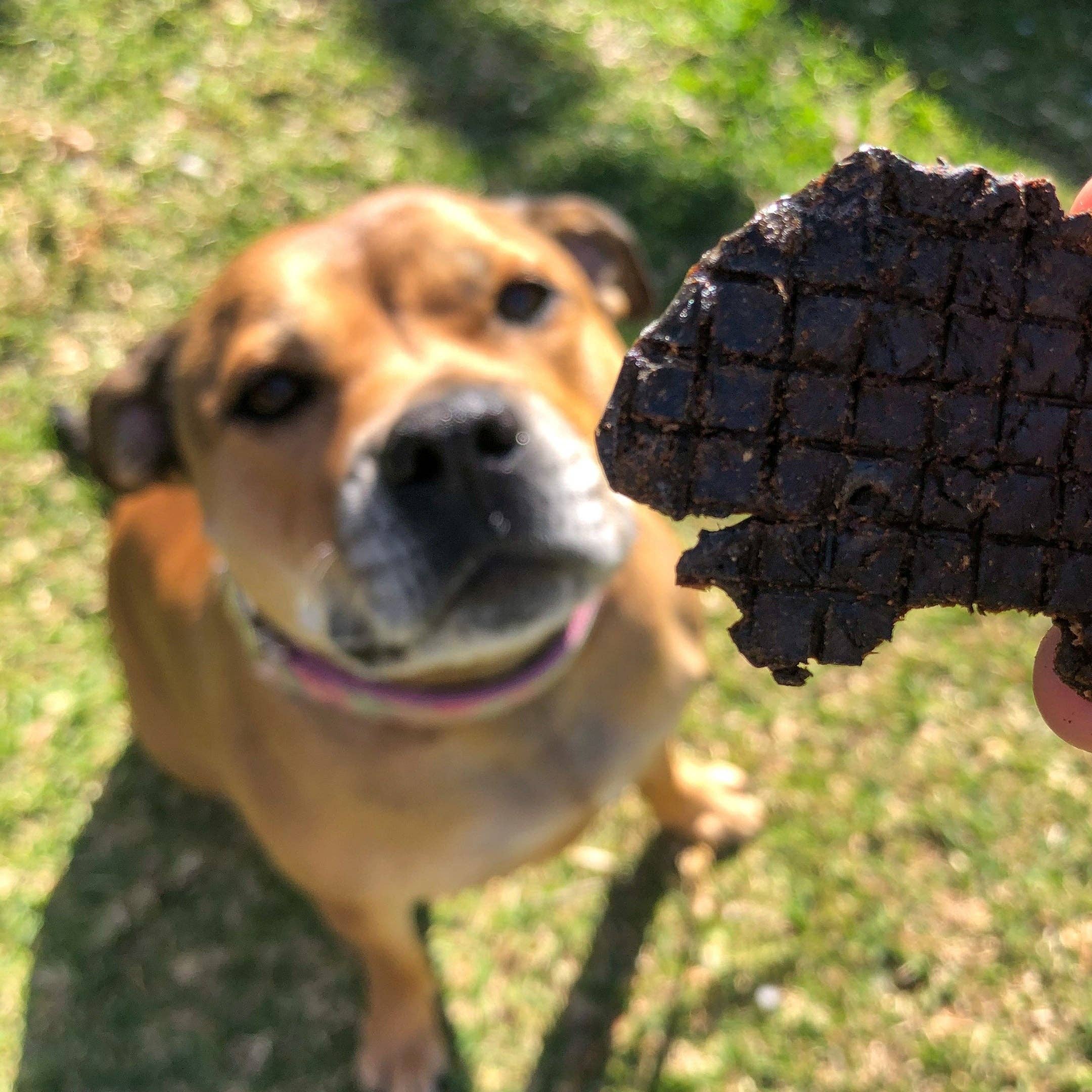 Rover Pet Products – wholesale Godis - Hund – Lammstek - Lammlever6