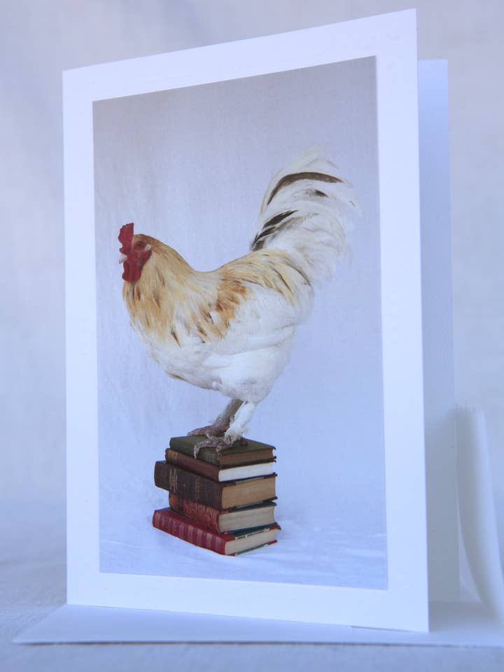 Earl On Books - Rescue - Handmade Greeting Card for wholesale by Sonoma Chicks