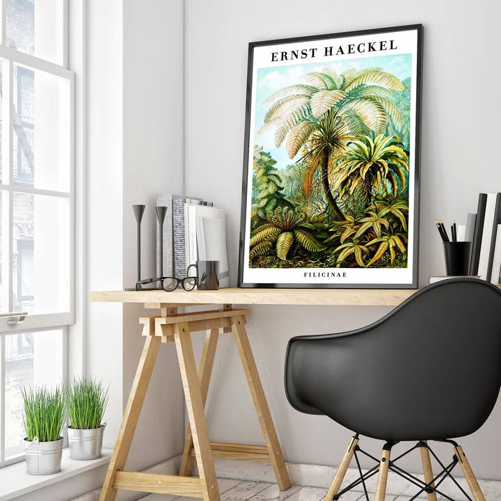 Animato - Wholesale Art Print - Ferns1