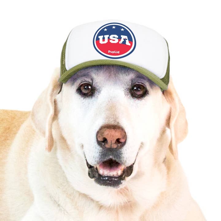 PupLid - Wholesale Pet Hat - Dog - USA Stars Design l Trucker Hat for Dogs