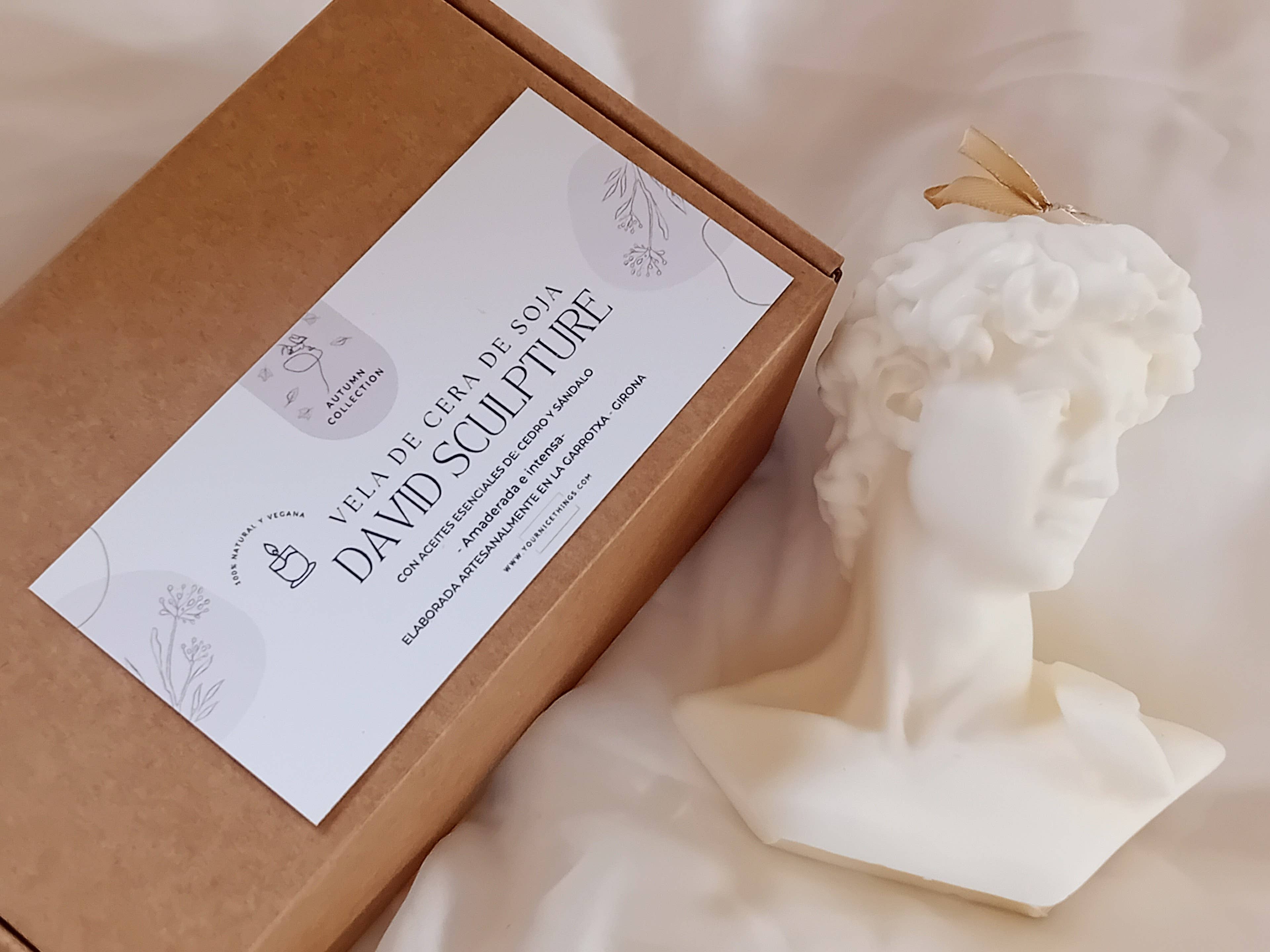 Your Nice Things - Candles - - Wholesale Novelty Candle - Soy wax candle David XXL sculpture of cedar and sandalwood4