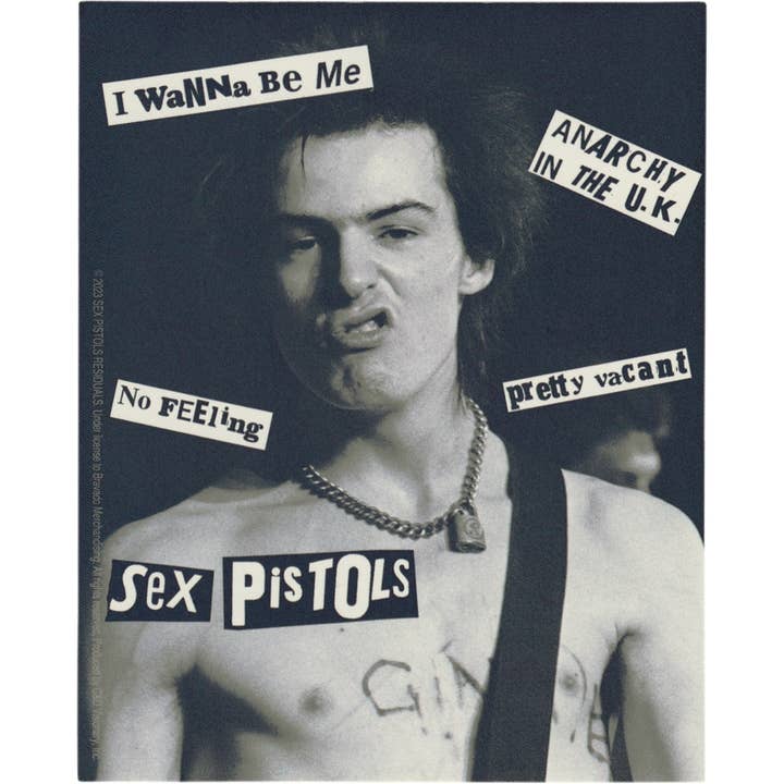 Sticker - Sex Pistols - Sid Vicious - Punk Rock Music Band for wholesale by Square Deal Recordings & Supplies