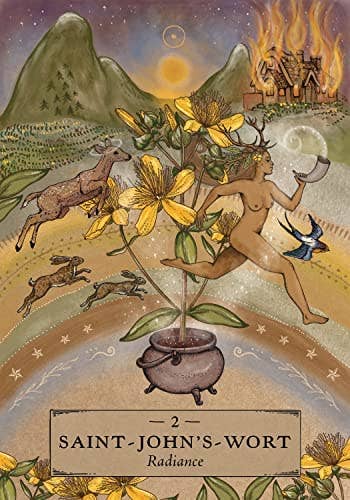Cardshouse - Wholesale Tarot Cards - Herbal Astrology Oracle Cards Hay House2