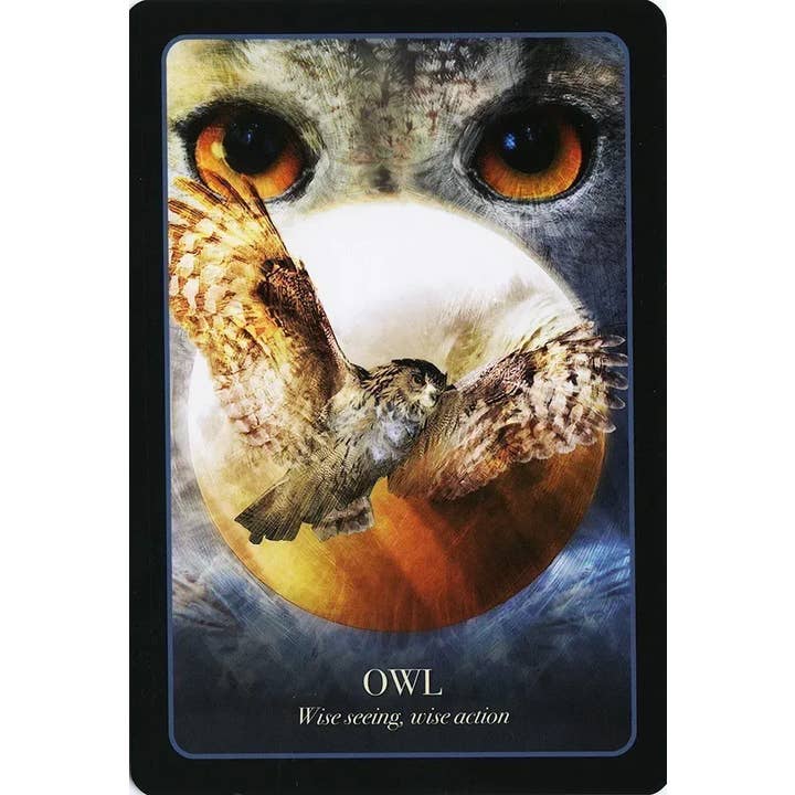 U.S. Games Systems Inc. - Wholesale Tarot Cards - The Halloween Oracle