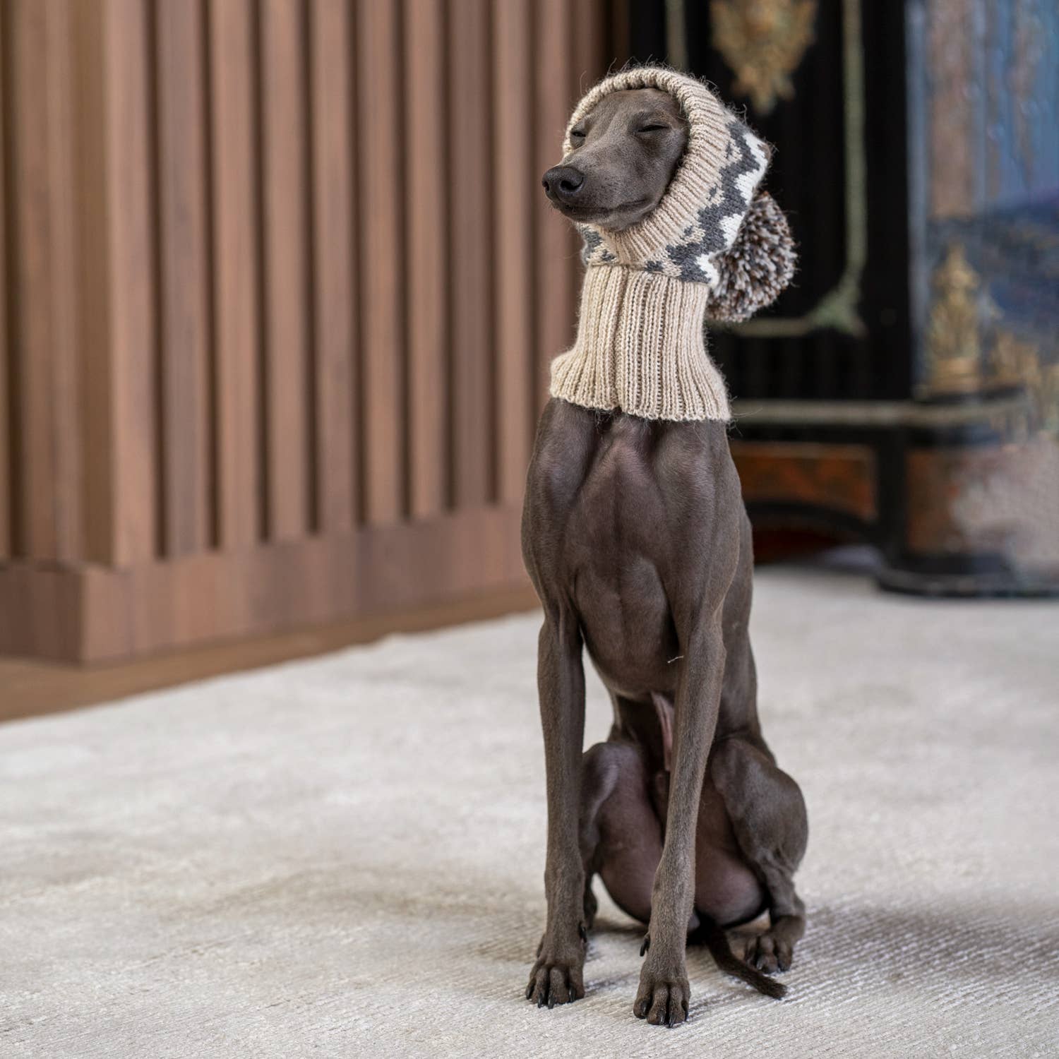 Alqo Wasi – chapéu - Cão por atacado – Gorro de inverno em lã de alpaca para cães1